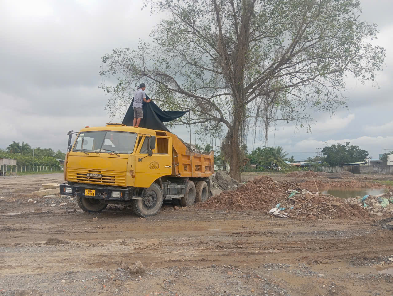 Báo giá cho thuê xe cơ giới