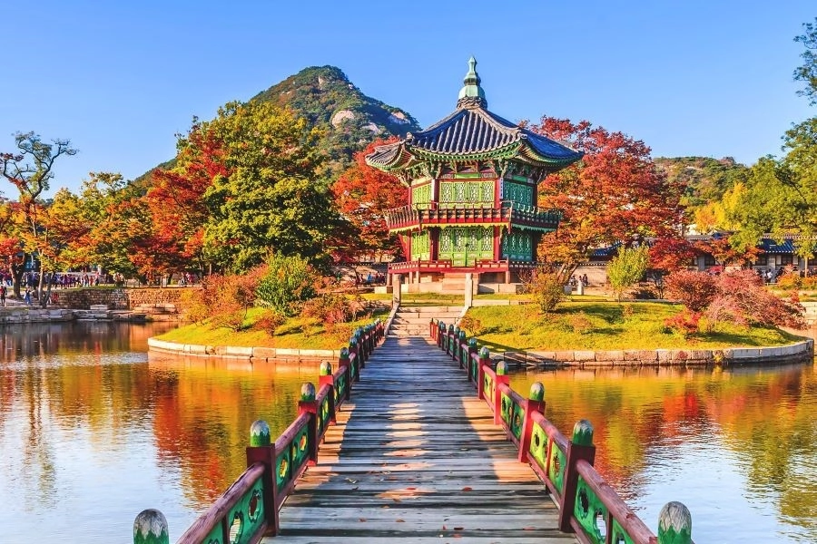 Tour Hàn Quốc 5N4Đ:  Seoul - Namiisland- Everland - CV Hoa Anh Đào
