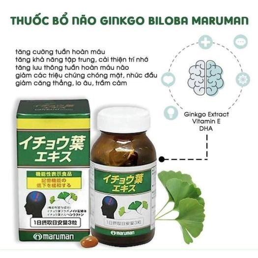 Viên uống bổ não Ginkgo Biloba Maruman hỗ trợ tiền đình hộp 100 viên