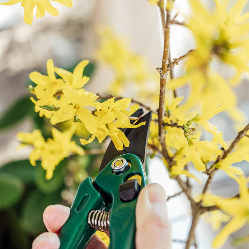 Kéo cắt tỉa cành cây Echo 18cm - xanh