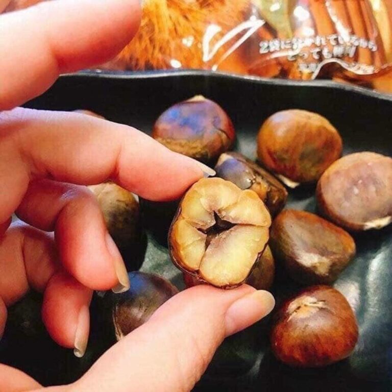 Hạt dẻ hấp hữu cơ Genseida