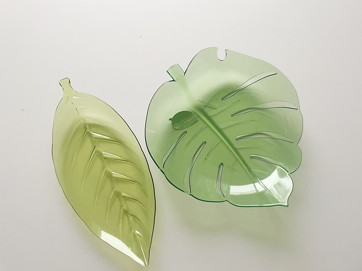 Đĩa nhựa pha lê hình chiếc lá Yamada Monstera