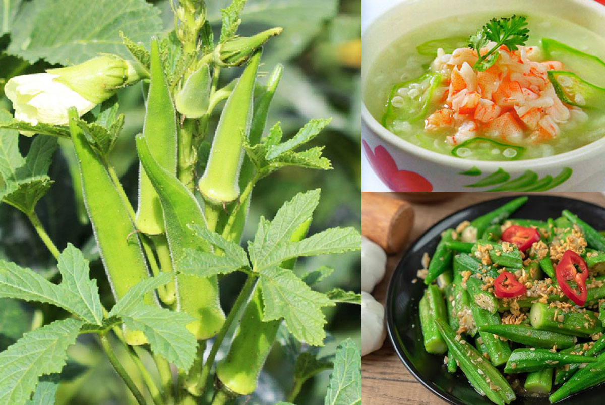 Việt Nam có loại quả 