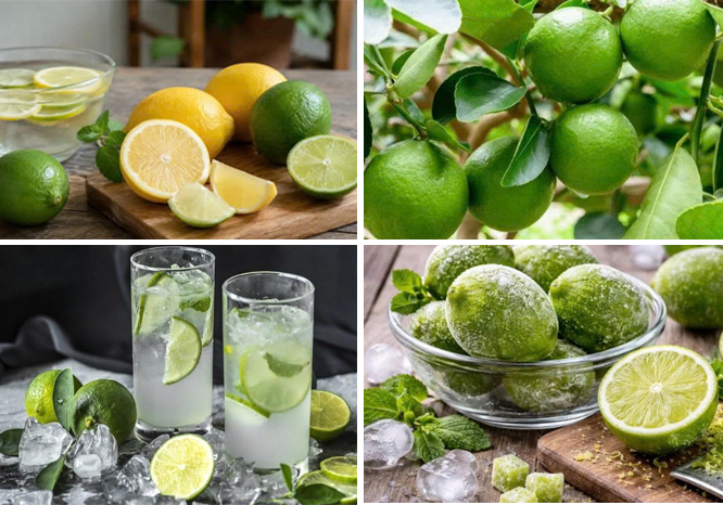 Vì sao ngày càng nhiều người thích cấp đông chanh tươi