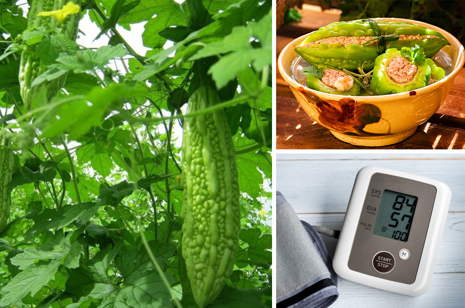 Tác dụng bất ngờ của mướp đắng đối với sức khỏe mà ít ai biết