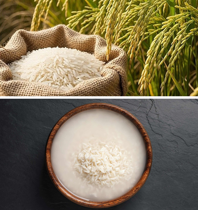 4 SAI LẦM KHI VO GẠO VỪA BẨN VÙA HẠI