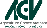 Công ty ACV