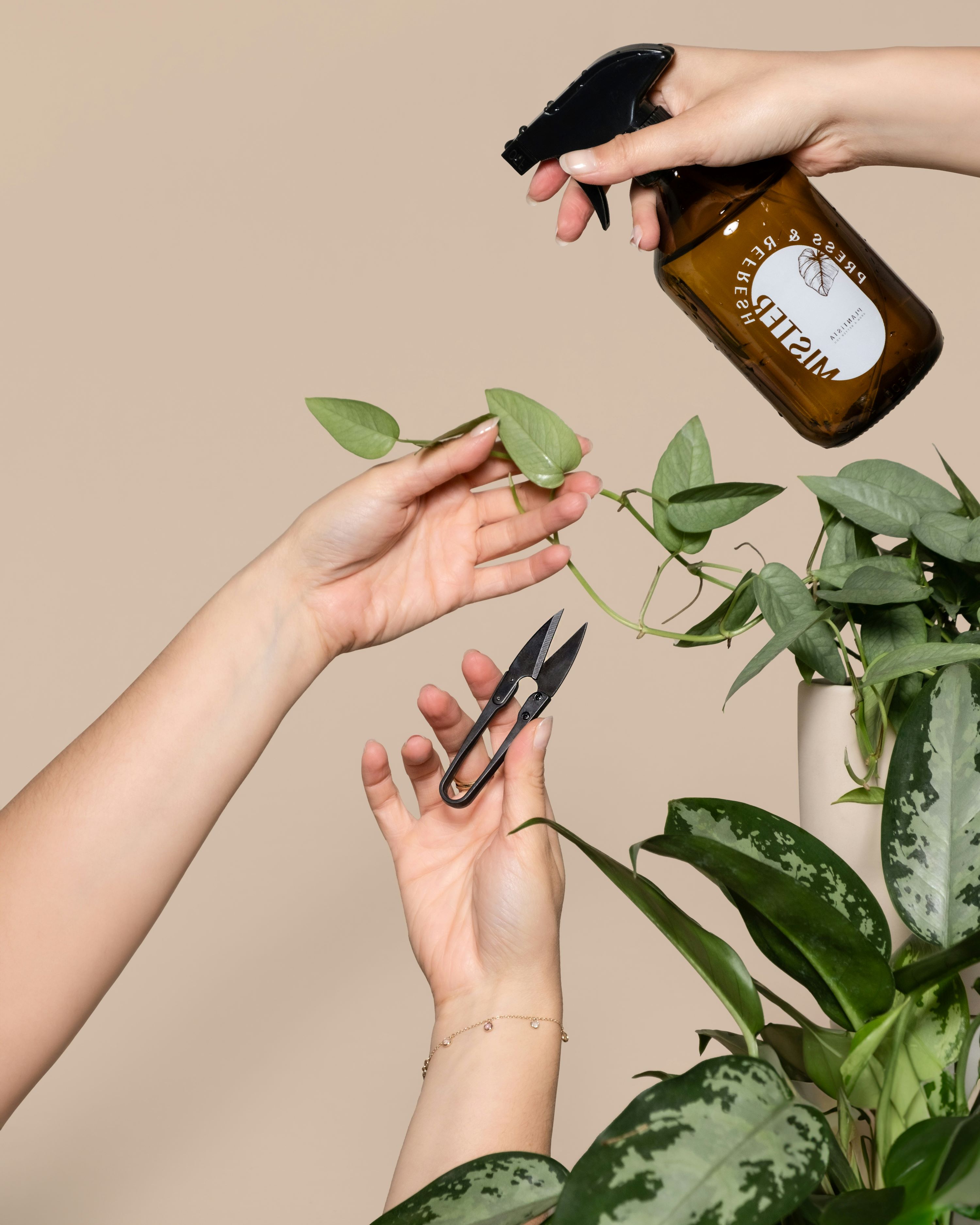 Location avec entretien