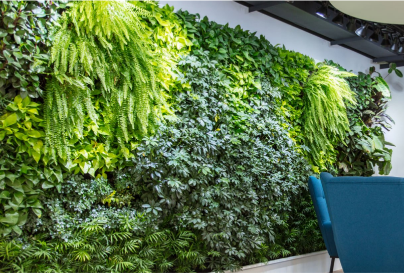 Les Murs Végétaux en Mousse Stabilisée : Une Touche de Nature Durable et Sans Entretien pour notre Intérieur