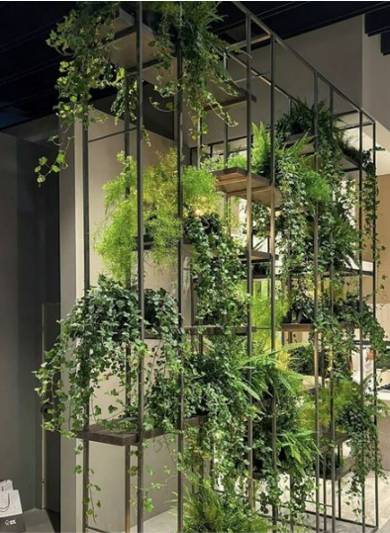 Séparation végétale