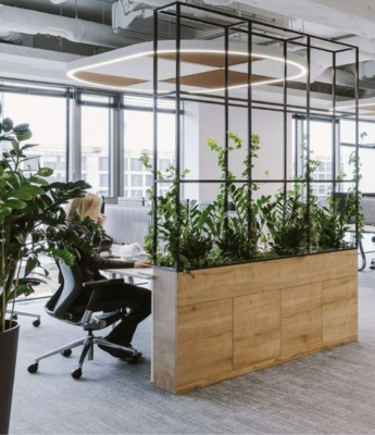 Séparation végétale et mur végétal