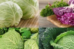 Cách ăn làm sạch máu trong cơ thể của người Nhật