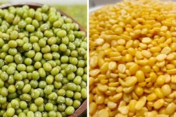 Đây mới là công thức giải độc gan bằng đậu xanh bạn nên biết