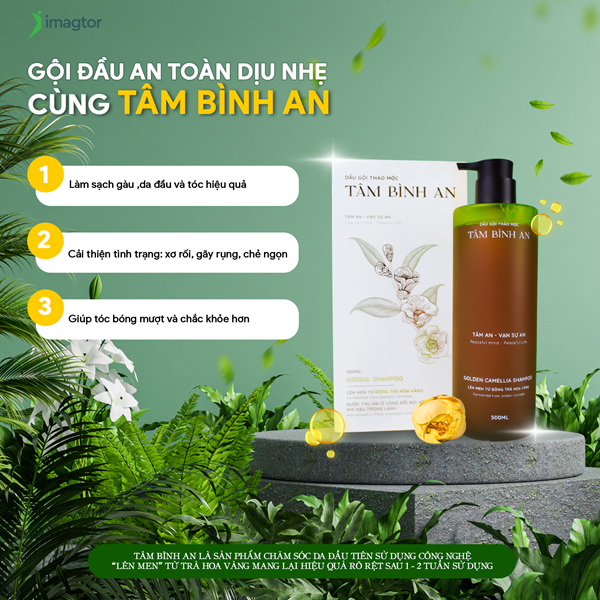 Dầu gội thảo mộc Tâm Bình An