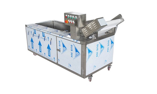 Máy rửa rau băng tải TG-306