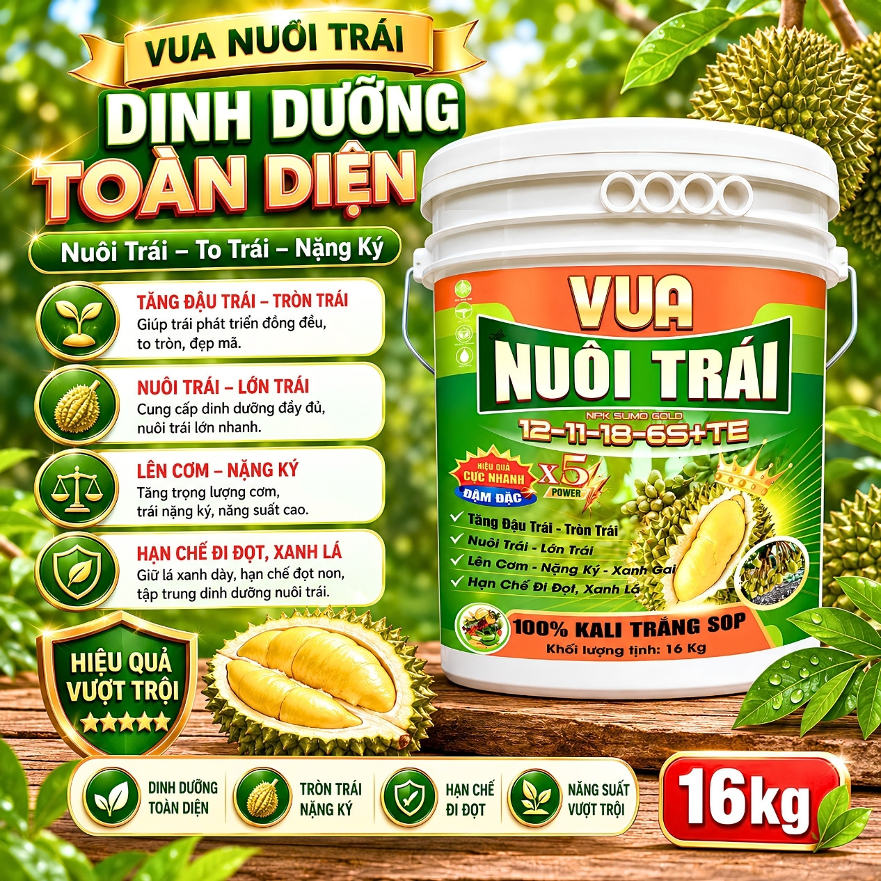 Xô vua nuôi trái 12-11-18+6S+TE Hy Lạp