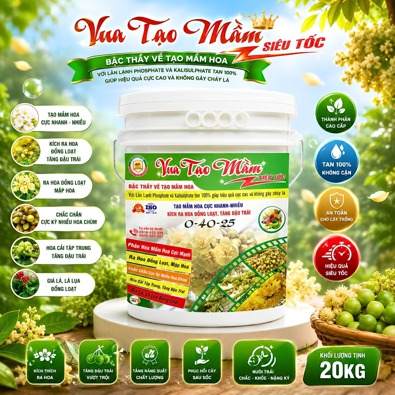 Xô vua tạo mầm 0-40-25 Hy Lạp