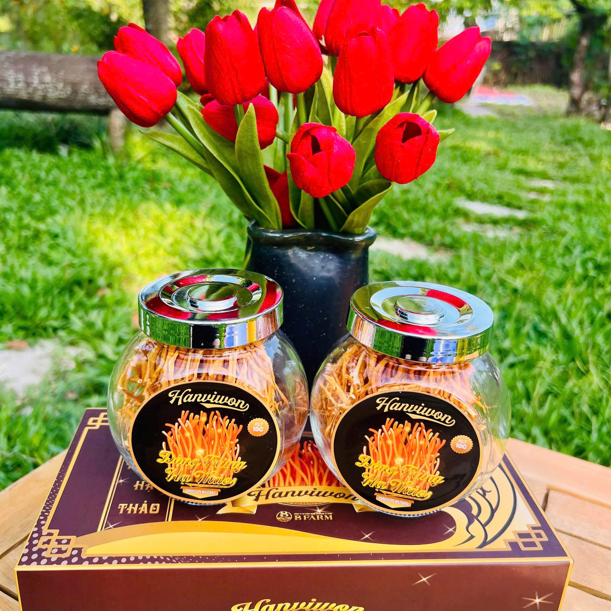 Đông trùng hạ thảo sợi khô