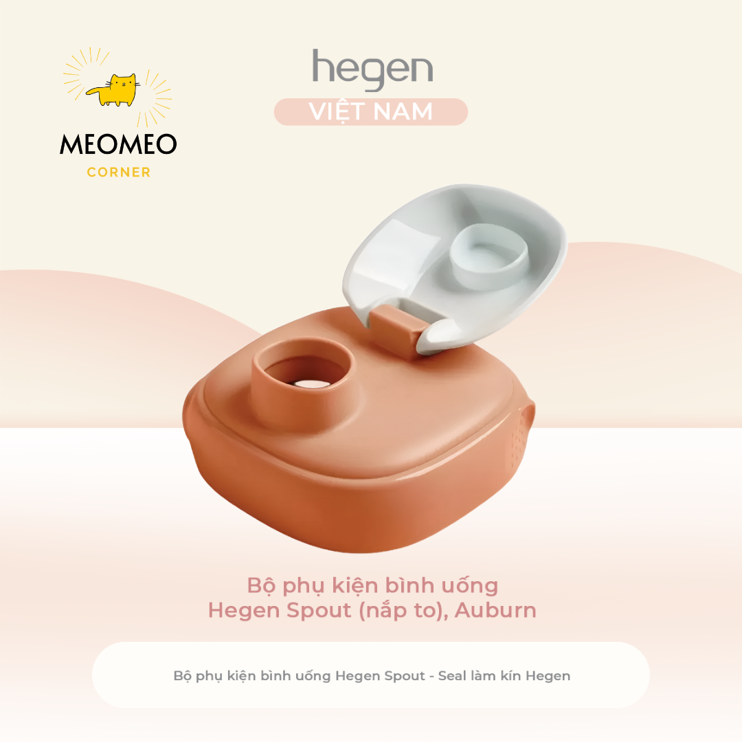 Bộ phụ kiện bình uống Hegen Spout