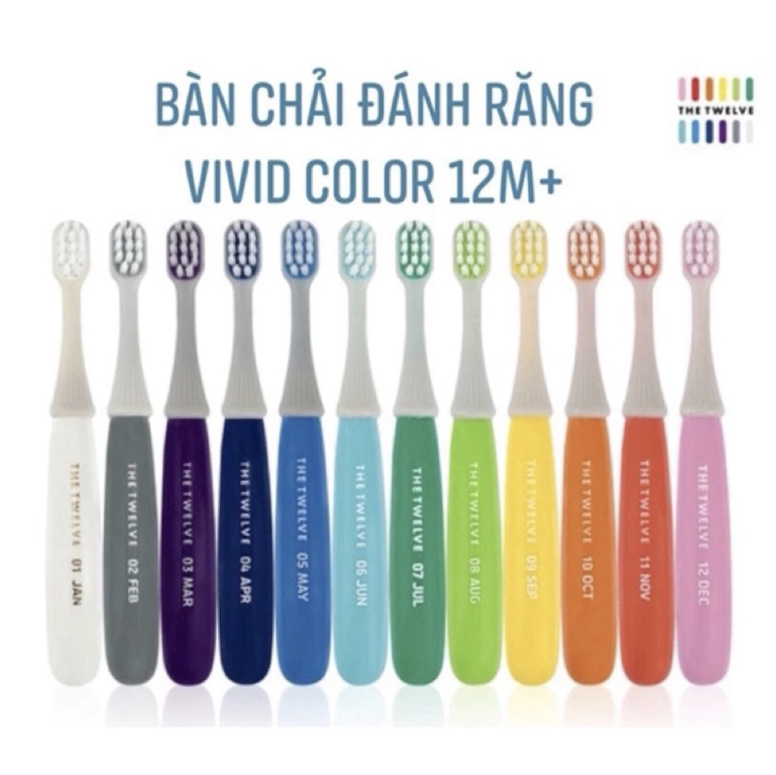 Bàn chải đánh răng siêu mềm the Twelve Hàn Quốc cho bé từ 12 tháng - 36 tháng tuổi