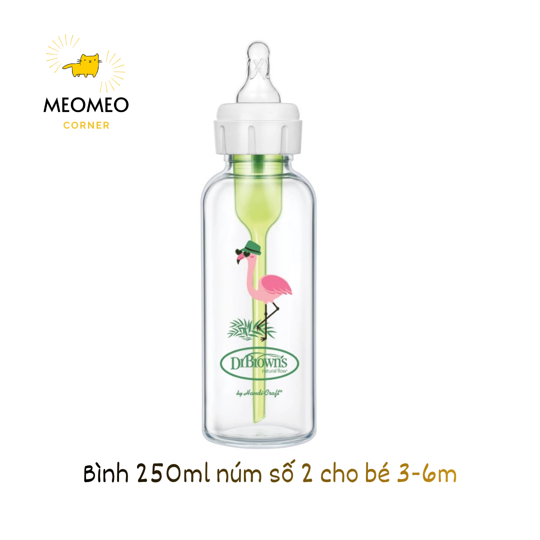 Bình sữa hoạ tiết thuỷ tinh Dr.Brown's Option Plus cổ hẹp