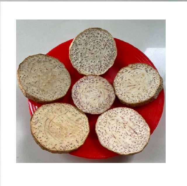Frozen slices Taro thick 2 cm round diameter 6 to 8 cm/ Frozen High Quality Bulk Quick Frozen FOB $ 2.2 a kg