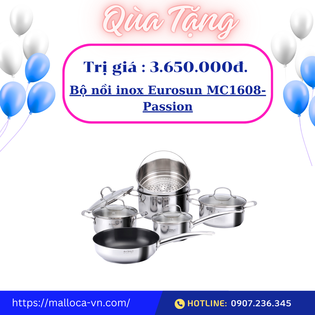 Bếp kính âm 1 điện 1 từ Malloca MH-02IR D
