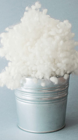 Bông xơ Gòn công nghiệp