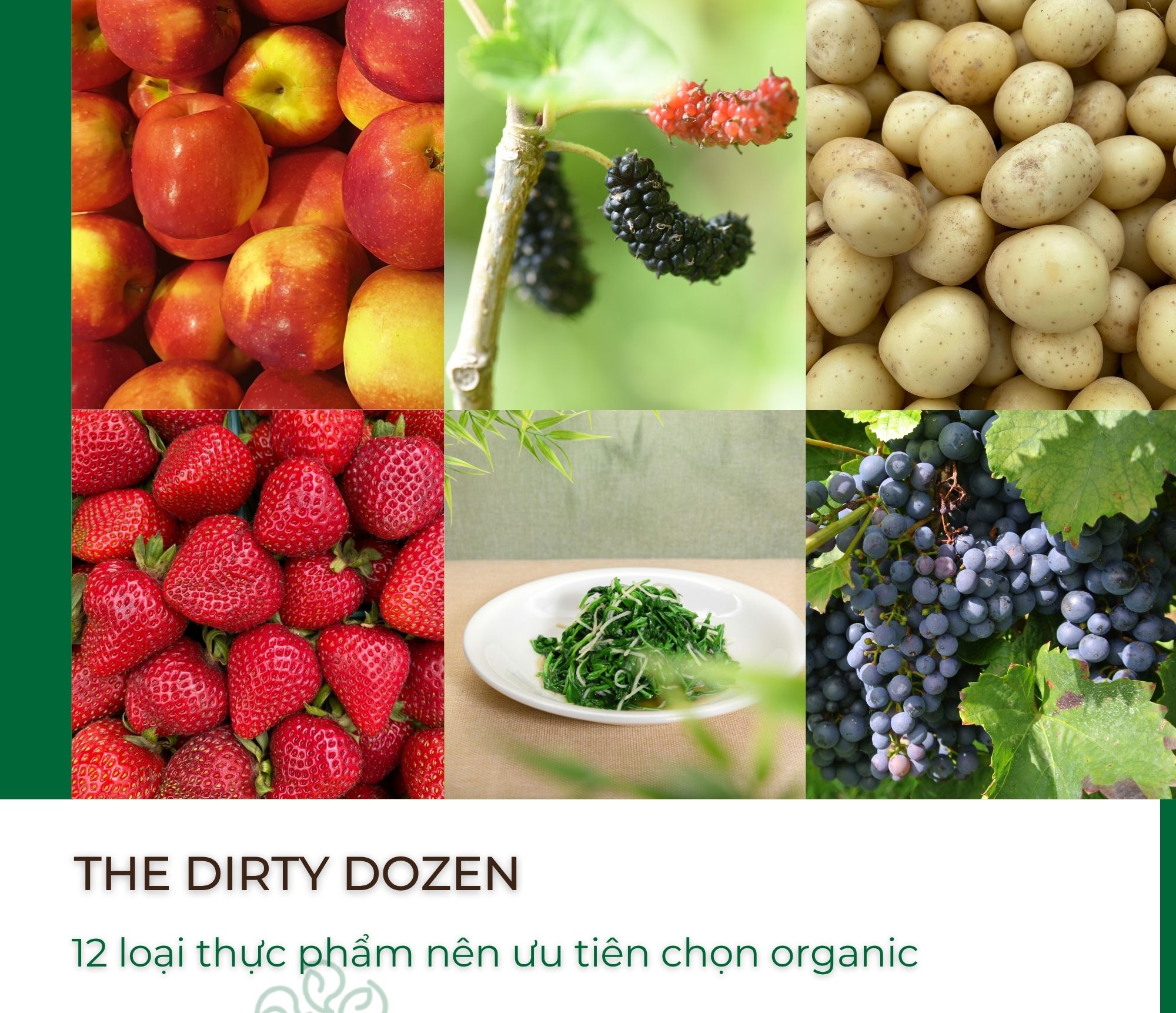 The dirty dozen - 12 loại thực phẩm nên ưu tiên chọn organic