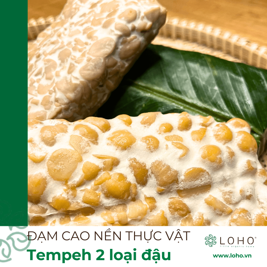 Tempeh tươi Loho - Đạm cao nền thực vật cho các tín đồ healthy