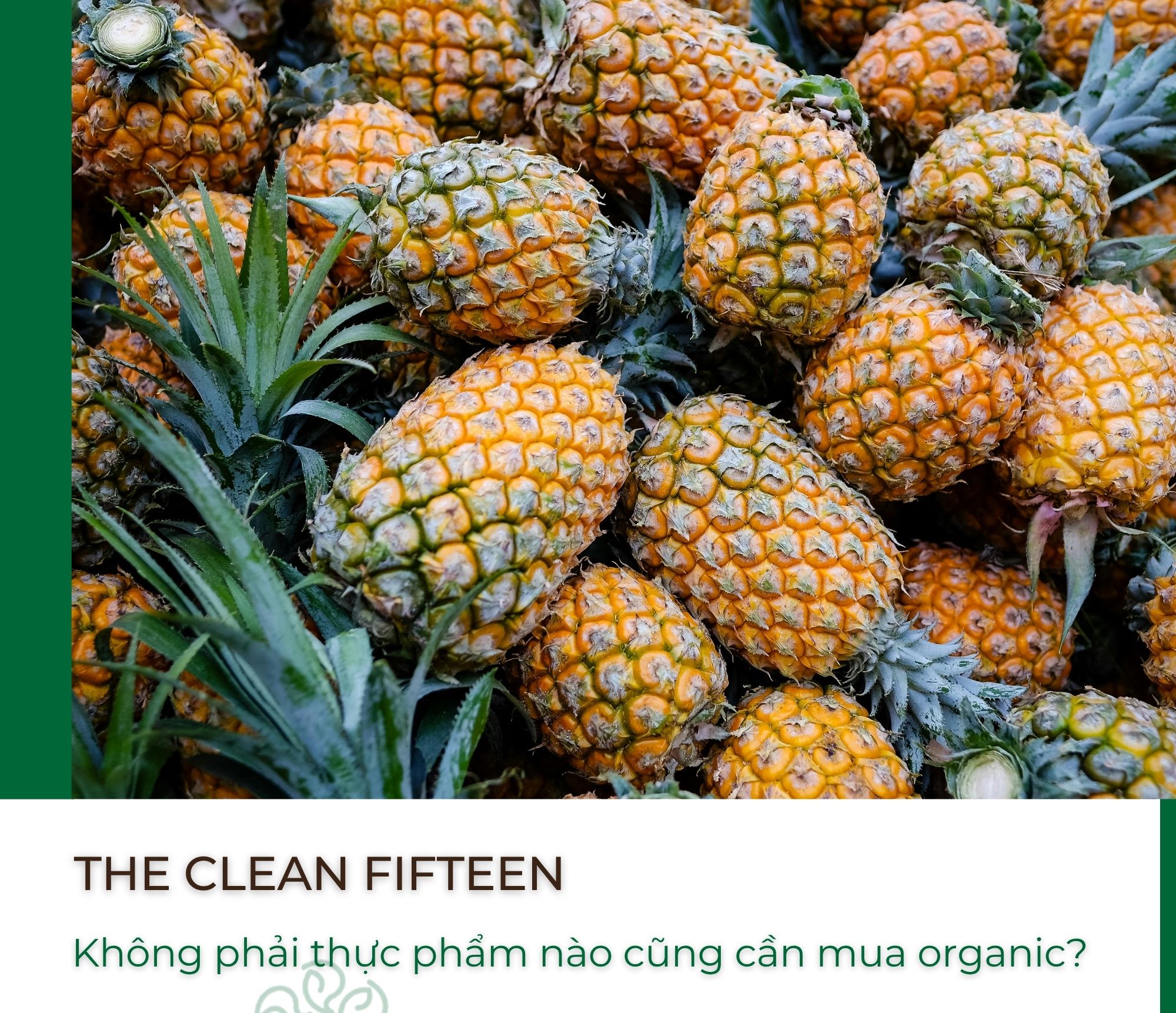 The clean fifteen: không phải thực phẩm nào cũng cần mua organic?