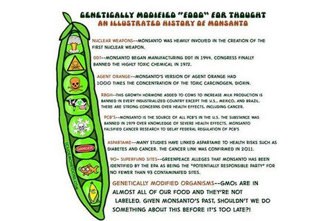 GMO – THỰC PHẨM BIẾN ĐỔI GEN