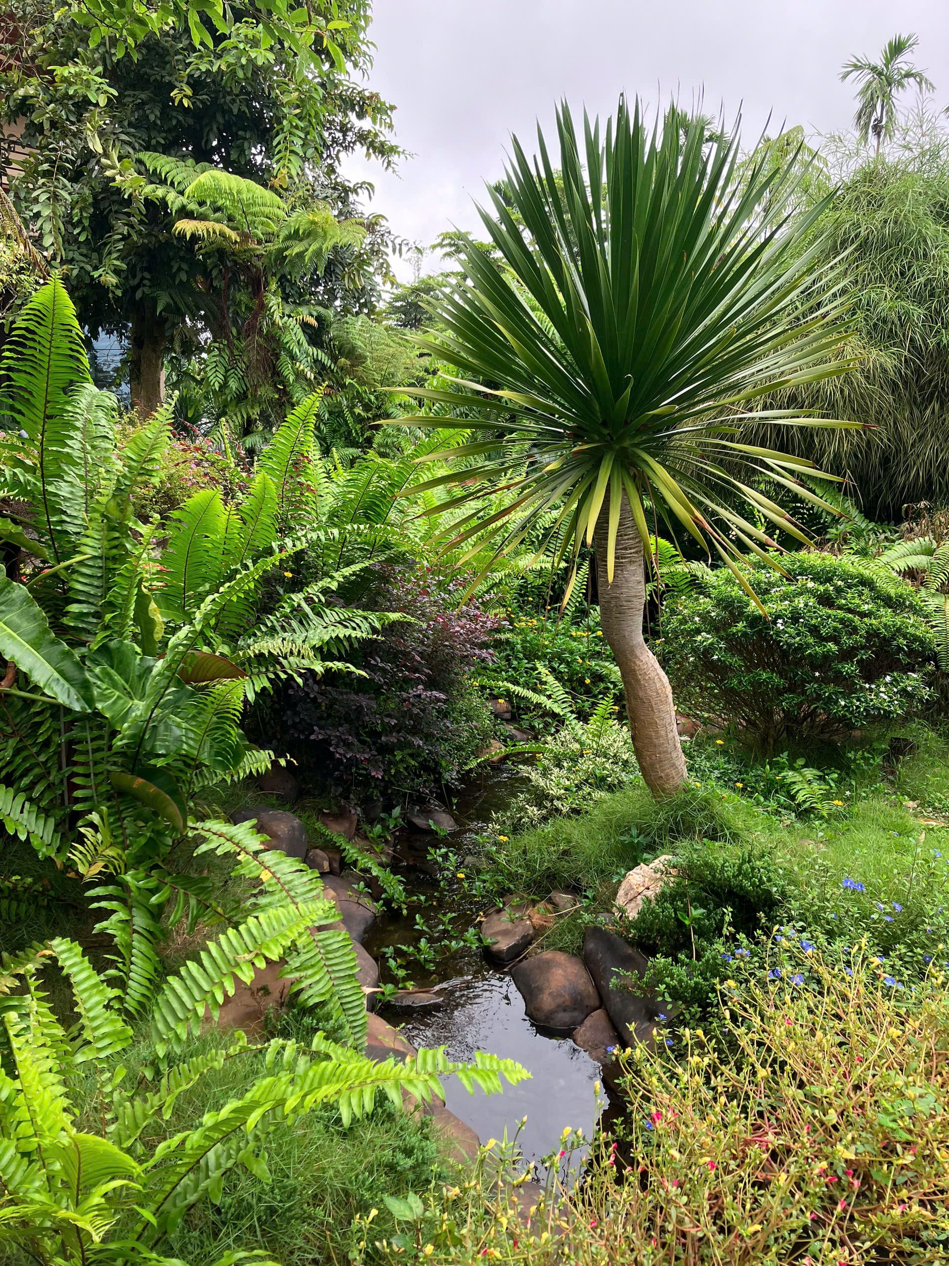 Nông nghiệp hữu cơ đóng góp gì cho môi trường