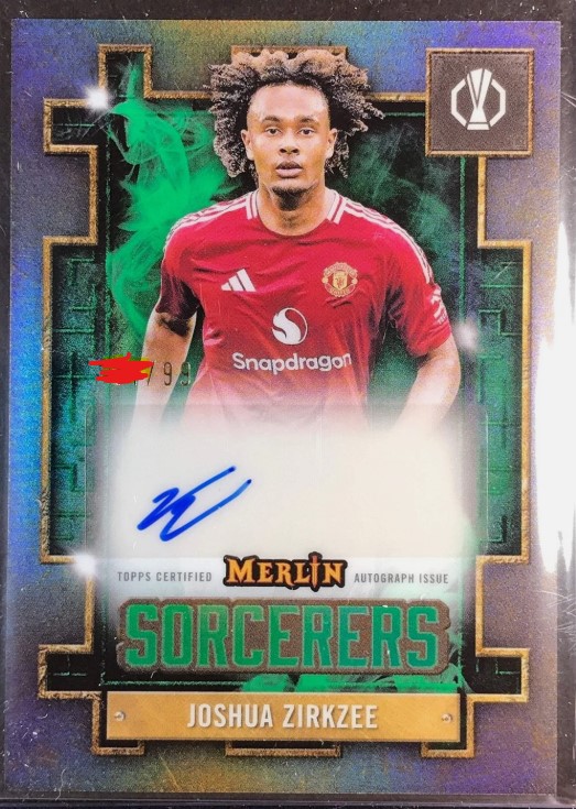 ZIRKZEE AUTO /99 MU MERLIN TLO