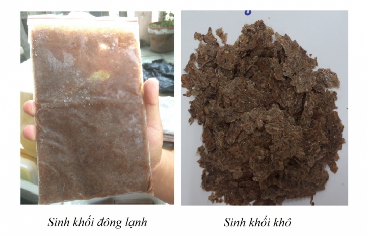 BẢO HỘ CHỈ DẪN ĐỊA LÝ 