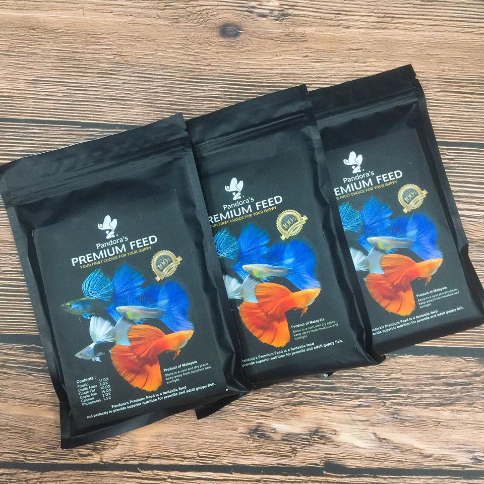 CÁM PANDORA – Siêu phẩm thức ăn cho cá bảy màu đến từ Malaysia