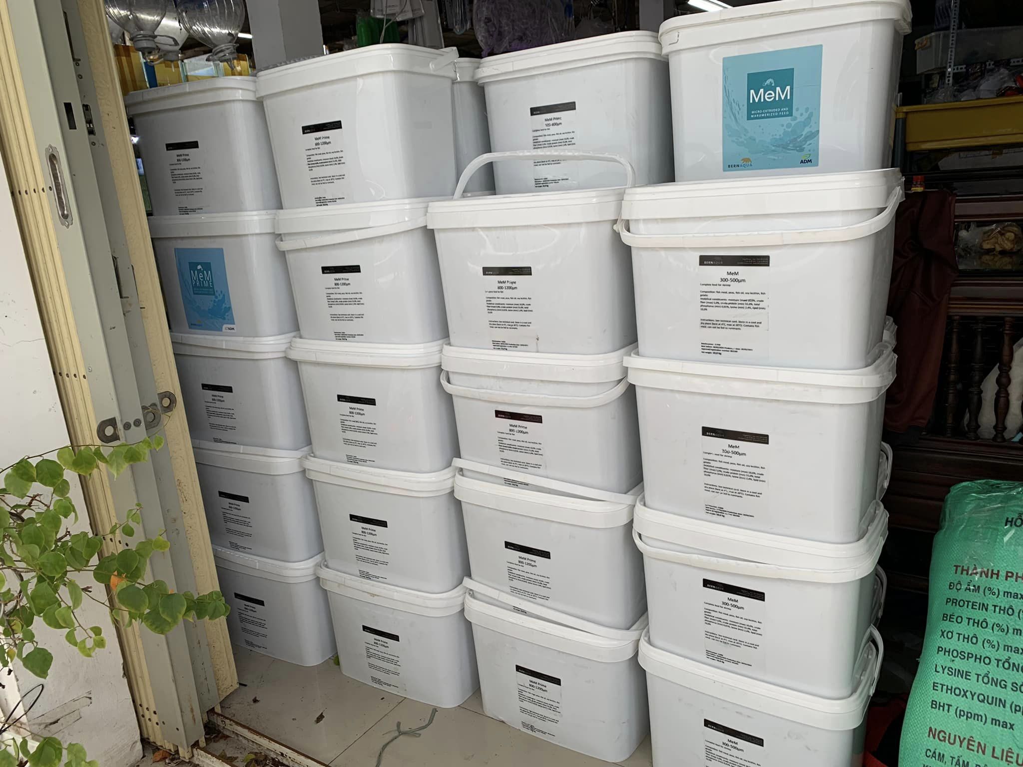 🐟 Cám MeM Prime – Thức ăn cao cấp cho Guppy, Betta, Molly & cá cảnh nhỏ 🐟