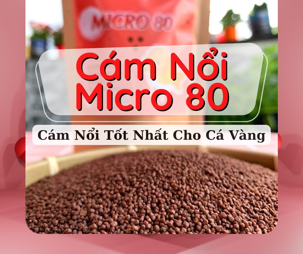CÁM NỔI MICRO 80, HẠT NỔI 0,8MM