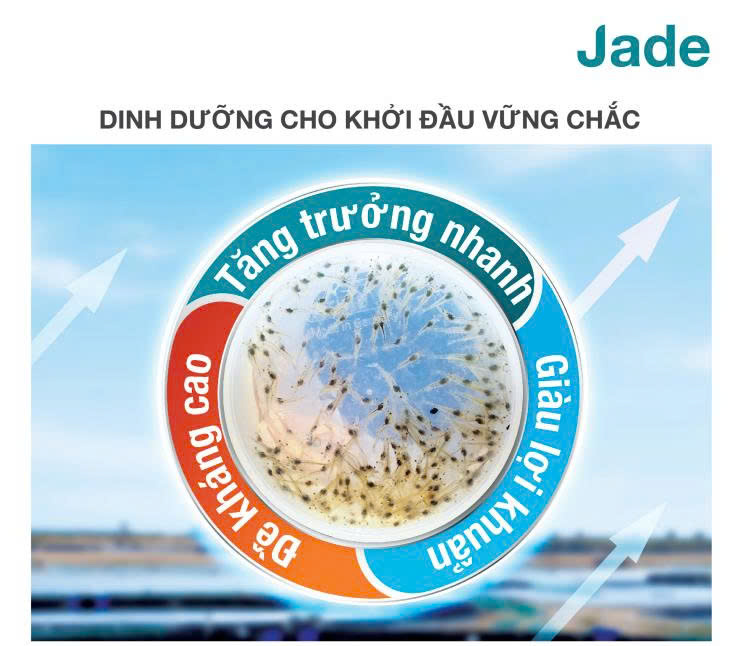 CÁM JADE SIZE 0 – 1 – 2 | THỨC ĂN CAO CẤP CHO CÁ CẢNH