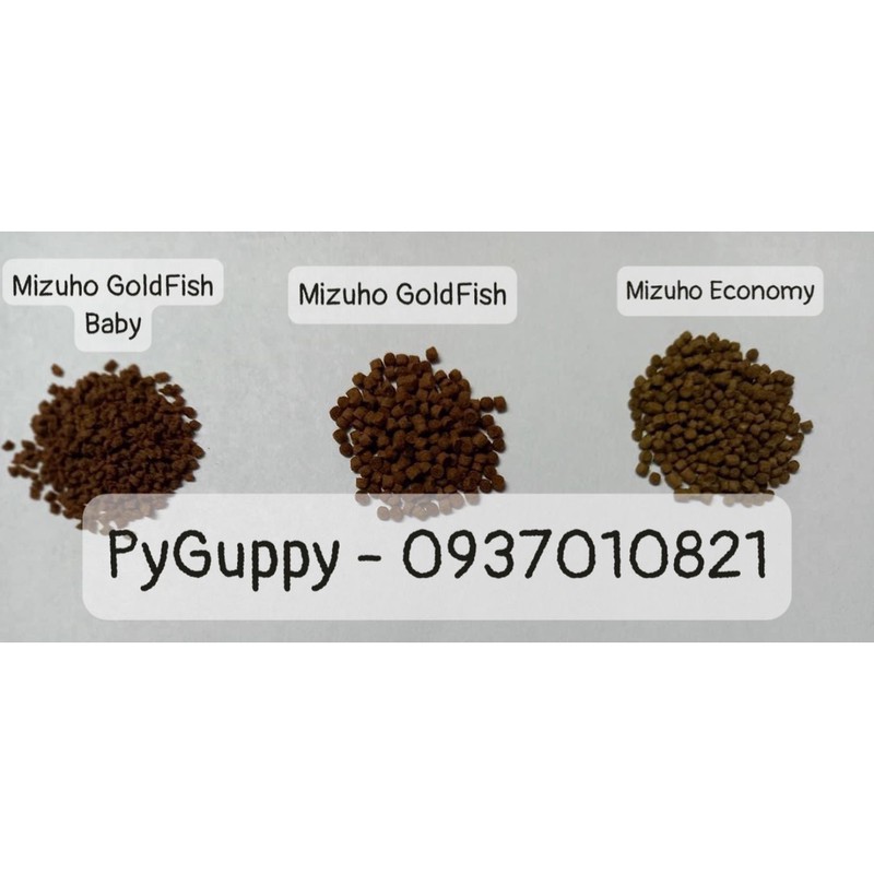 🐟 TỔNG HỢP TẤT CẢ CÁM MIZUHO 50G – 180G – 300G – 500G CAO CẤP CHO CÁ CẢNH