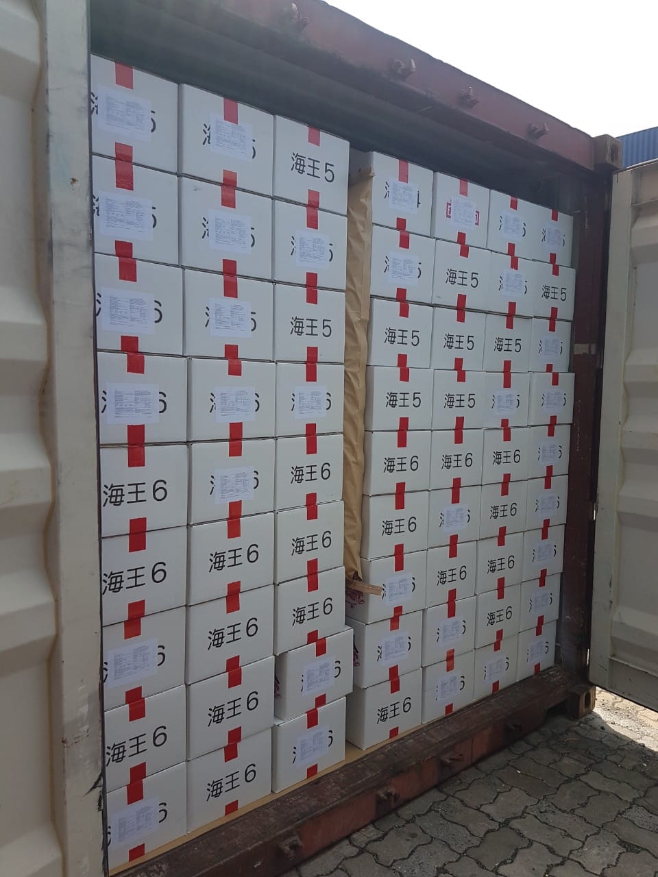 Cám Nhật KAIO 6 Hạt 1.01mm-1.31mm