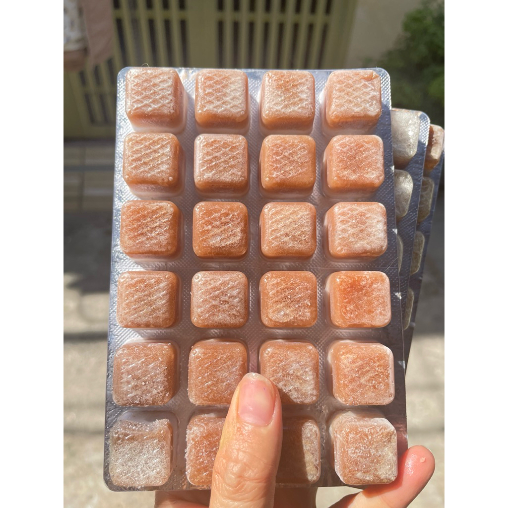 BOBO ĐÔNG LẠNH DẠNG VỈ 24 VIÊN CHO CÁ CẢNH