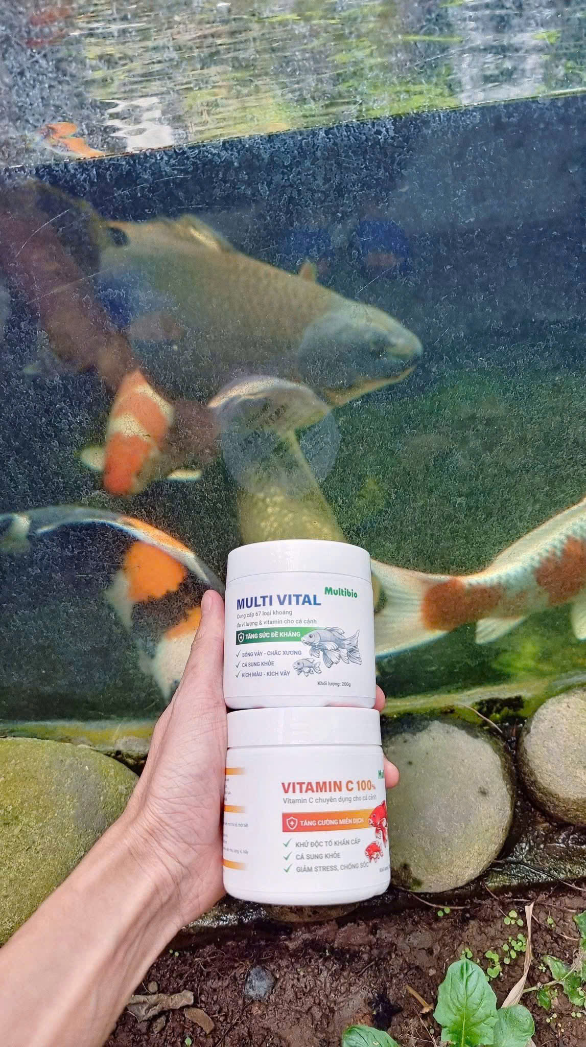 🐠 BỘ SẢN PHẨM CHĂM SÓC CÁ CẢNH CHUYÊN NGHIỆP MULTIBIO - TH UỐC TÍM - KHOÁNG MULTI VITAL - VITAMIN C🐠