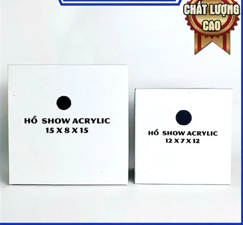 🐟 Hồ Show Acrylic 12x7x12 & 15x8x15 – Bể Show Cá Cảnh Siêu Trong, Chụp Ảnh Đẹp, Chuyên Dùng Cho Guppy, Betta