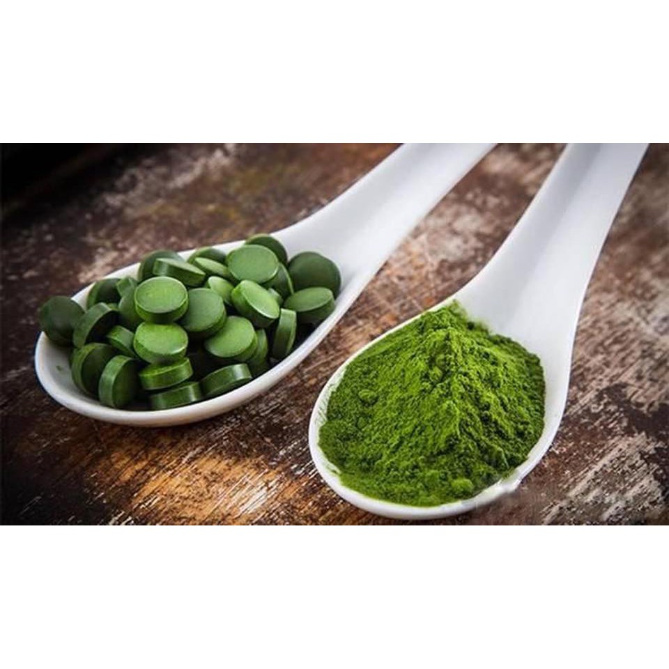 Tảo Bột Nhật dành cho cá cảnh, artemia sinh khối