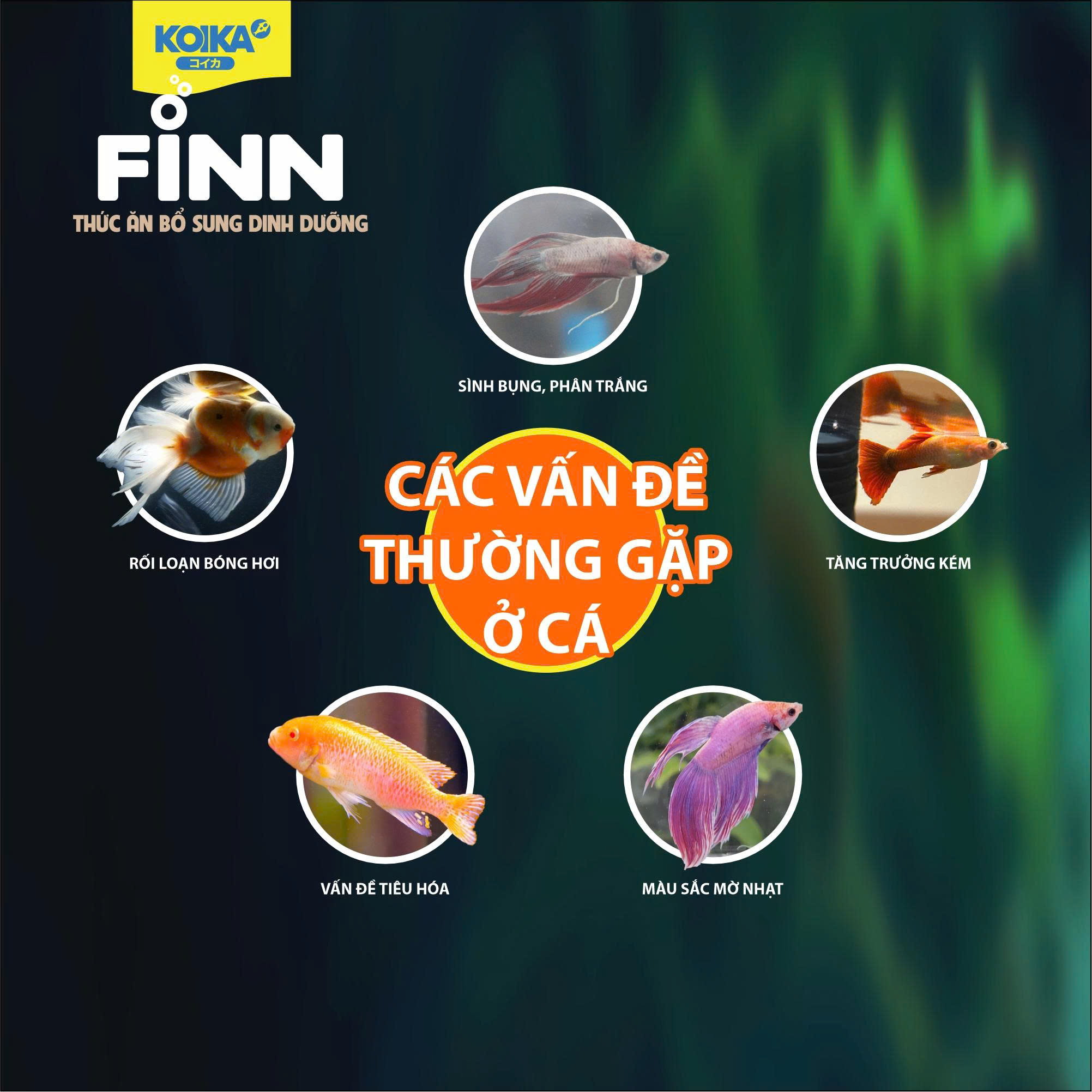 Cám Finn - Thức Ăn Dinh Dưỡng Sinh Học Dành Cho Cá Cảnh