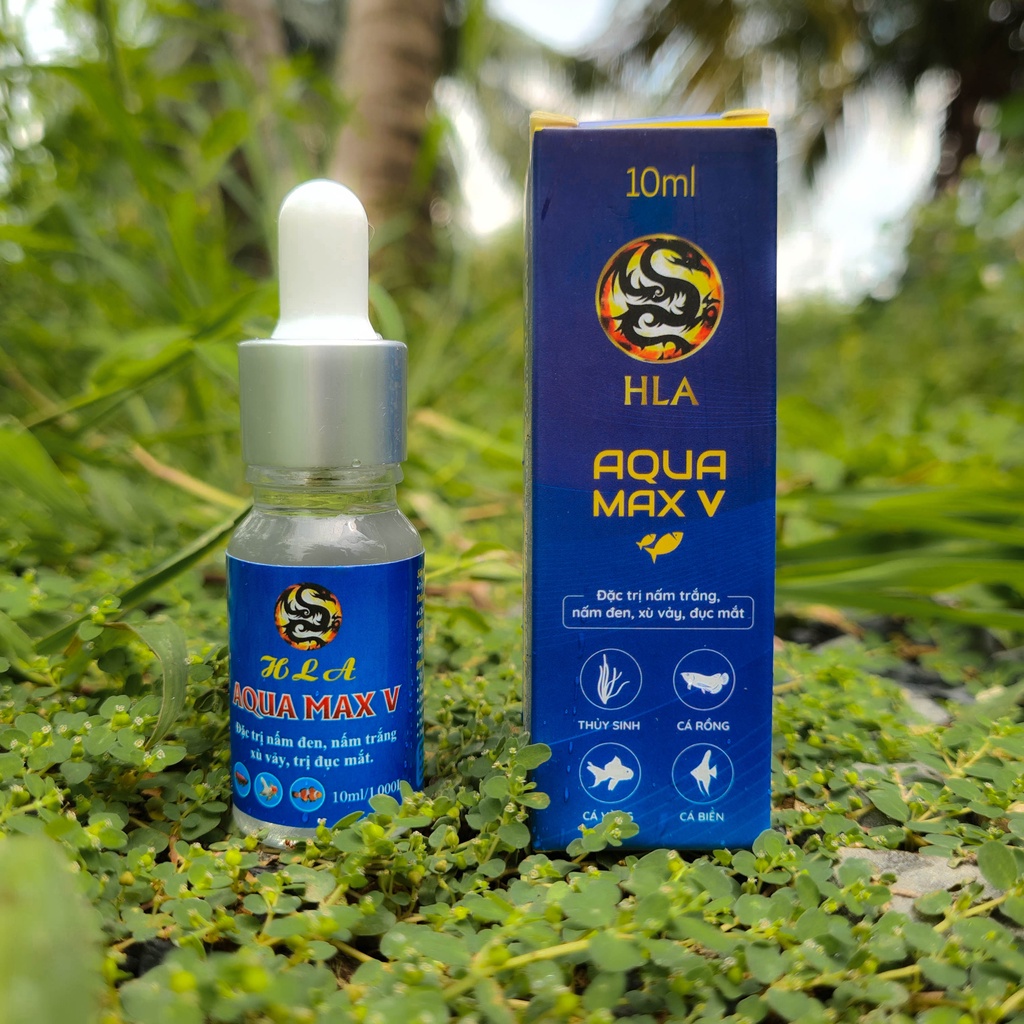 Aqua Max 5 Điều Tr ị Nấm Đen, Nấm Trắng, Xù Vảy, Xuất Huyết Vảy, Đục Mắt