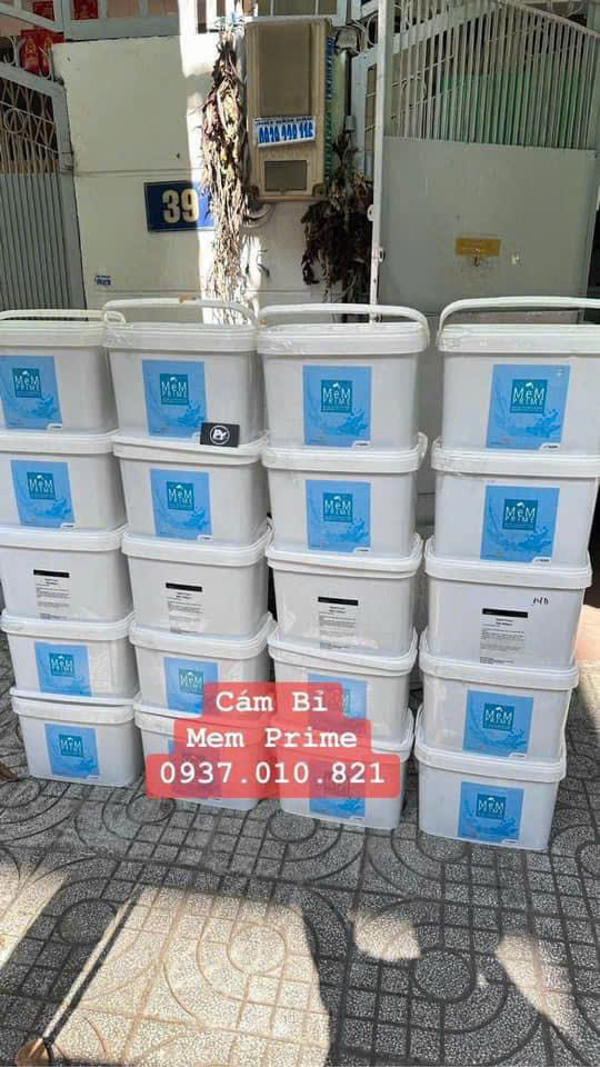 🐟 Cám MeM Prime – Thức ăn cao cấp cho Guppy, Betta, Molly & cá cảnh nhỏ 🐟