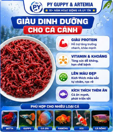 Trùn Huyết Đông Lạnh Dạng Viên Vỉ 24 Viên Cho Cá Cảnh - Thức ĂnTiện Lợi Giàu Dinh Dưỡng