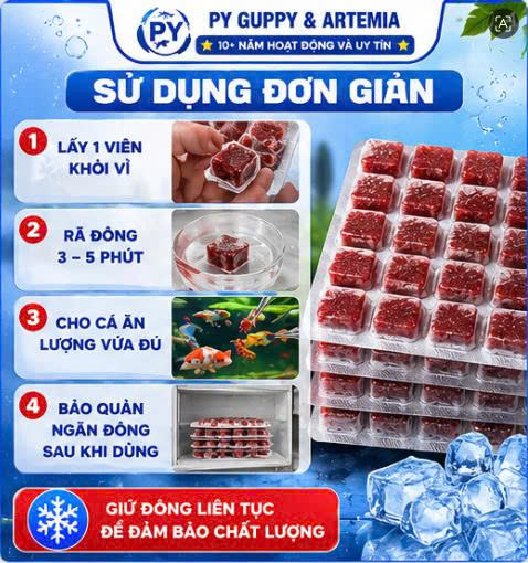 Trùn Huyết Đông Lạnh Dạng Viên Vỉ 24 Viên Cho Cá Cảnh - Thức ĂnTiện Lợi Giàu Dinh Dưỡng